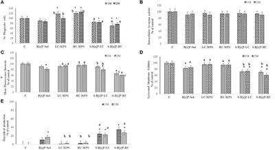 Comparative Effects of Ingested PVC Micro Particles With and Without Adsorbed Benzo(a)pyrene vs. Spiked Sediments on the Cellular and Sub Cellular Processes of the Benthic Organism Hediste diversicolor